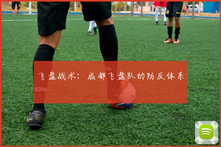 飞盘战术：成都飞盘队的防反体系