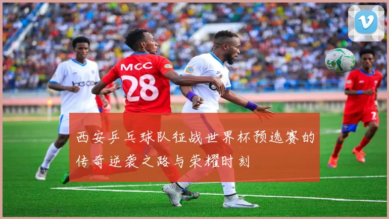 西安乒乓球队征战世界杯预选赛的传奇逆袭之路与荣耀时刻