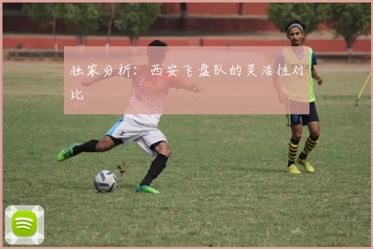 独家分析：西安飞盘队的灵活性对比