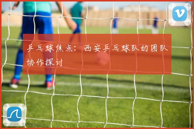 乒乓球焦点：西安乒乓球队的团队协作探讨