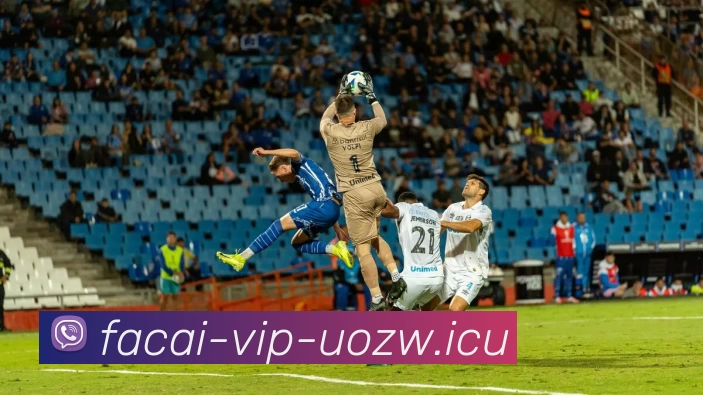 MK体育平台生态图